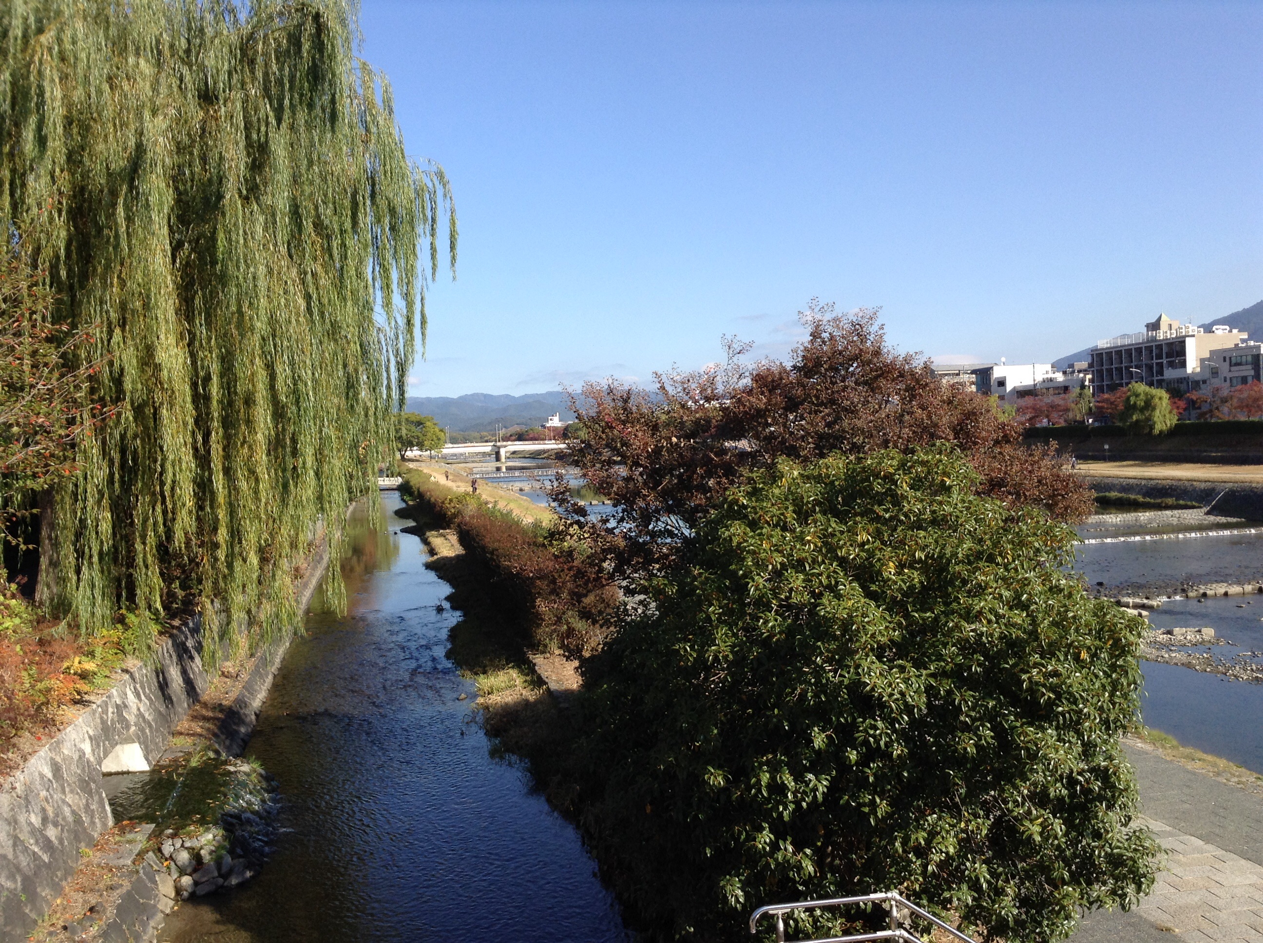 京都加茂川