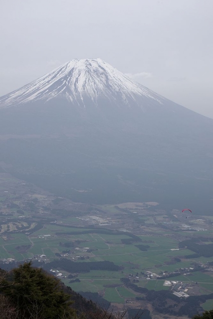 毛無山山頂から富士山