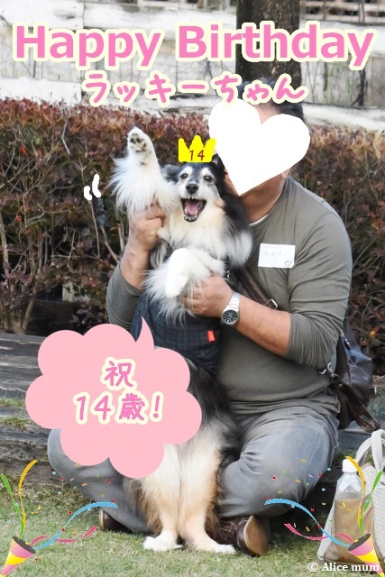 3m - コピー