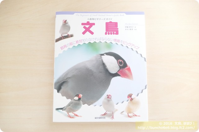 書籍　小動物ビギナーズガイド　文鳥の写真
