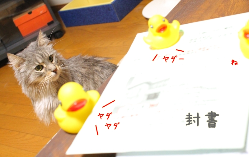 G151006_31.jpg