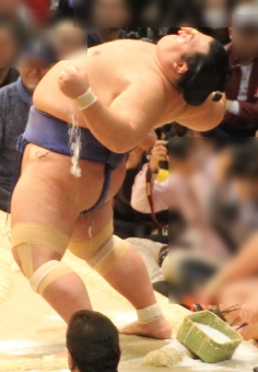 sumo201603-10.jpg