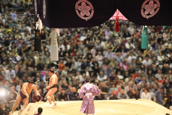 sumo201603-15.jpg