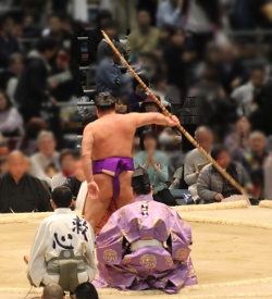 sumo201603-16.jpg
