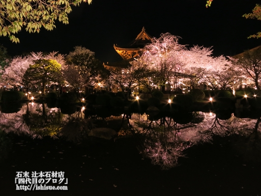 東寺池付近の桜