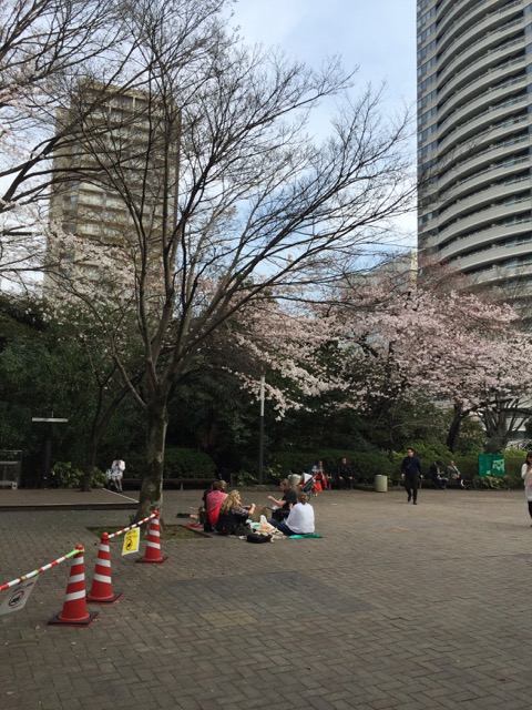 ファラんの花見@NHK放送博物館