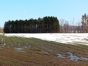 B3P3270605.jpg