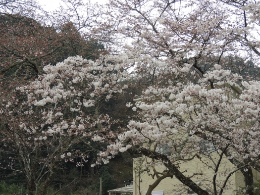 八幡神社 (2)