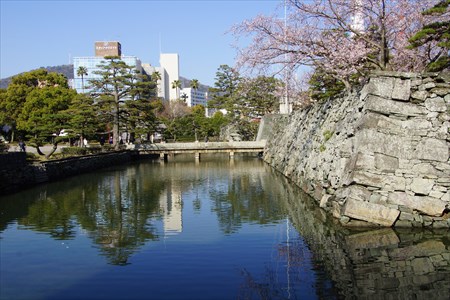 徳島城の桜５