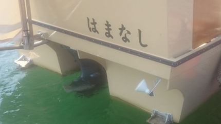 20150802-18-ありがたや屋形船船尾.JPG