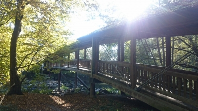 隣村の木の橋