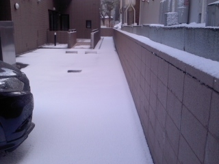 また雪が･･･