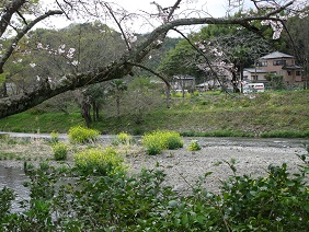 静岡の春３