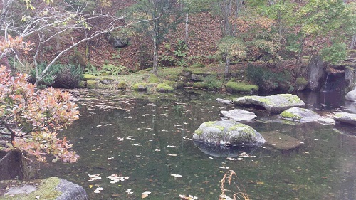 秋ﾉ水神池水面